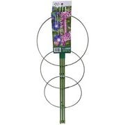 ニチリウ 花支柱ドラゴン 60cm