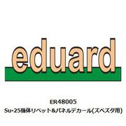 ER48005 1/48 Su-25 機体リベット＆パネルデカール （ズべズダ用） [プラモデル用品]