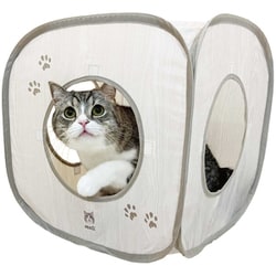 餅猫さま専用 Amazon、楽天ブックス本部門、セブンネットショッピングで総合一