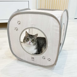 もち猫さま専用 ヨドバシ.com - 猫壱 キャットプレイキューブ もち様Ver 通販