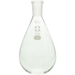 005400-15100 [SIBATA 共通摺合平底なす形フラスコ 100mL]