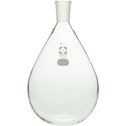 005400-241 [SIBATA 共通摺合平底なす形フラスコ 1L]