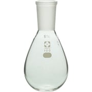 005400-24100 [SIBATA 共通摺合平底なす形フラスコ 100mL]
