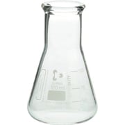 010620-100A [SIBATA スーパー肉厚三角フラスコ 100mL （10個入）]