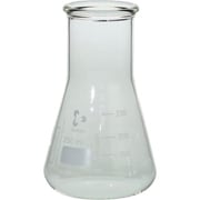 010620-250A [SIBATA スーパー肉厚三角フラスコ 250mL （10個入）]
