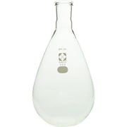 035120-24500 [SIBATA SPC平底なす形フラスコ 500mL]