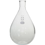 035120-291 [SIBATA SPC平底なす形フラスコ 1L]