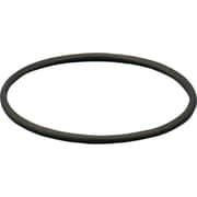 SIBATA Oリング パーフロ CP-300型300℃タイプ用 φ116 054330-3604
