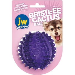 JW60636 [カクタスボール]
