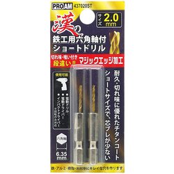 漢の鉄工ショートドリル2.0mm 2P 437020ST