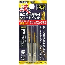 漢の鉄工ショートドリル2.5mm 2P 437025ST