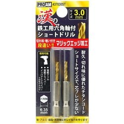漢の鉄工ショートドリル3.0mm 2P 437030ST