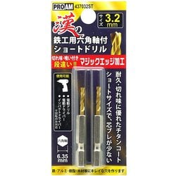漢の鉄工ショートドリル3.2mm 2P 437032ST