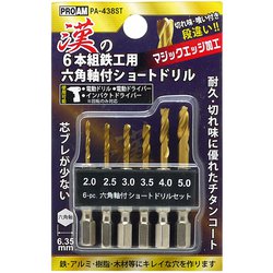 漢の鉄工ショートドリル 6本組 PA-438ST