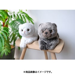 ヨドバシ.com - サンレモン SUNLEMON P-8332 ひざねこ