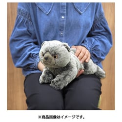 ヨドバシ.com - サンレモン SUNLEMON P-8342 ひざねこ