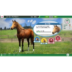 ヨドバシ.com - コーエーテクモゲームス Winning Post 10 [Windows