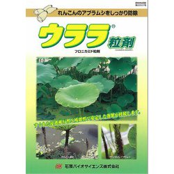 ヨドバシ.com - 石原バイオサイエンス 農薬 ウララ粒剤 3kg 通販【全品