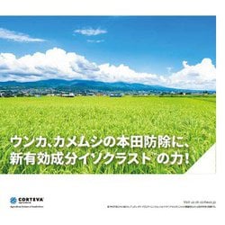 ヨドバシ.com - ダウ・ケミカル 農薬 ビームエイトエクシードゾル 5L