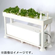 ホームハイポニカ PLAABO