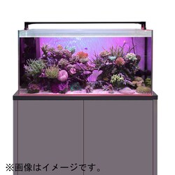 ヨドバシ.com - ゼンスイ マルチカラーLED 900 通販【全品無料配達】