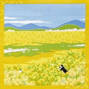 ＃88587 [たまの散歩小風呂敷 菜の花]