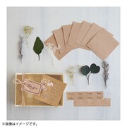 ナチュラルモチーフ付き BOX色紙 ナチュラルリーフ NMB-002