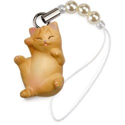 にゃんこ最強道 | 茶虎のカリスマ🐈 #にゃんこ大抗争 #にゃんこ