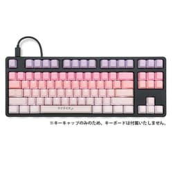 Tai-Hao PBT Backlit 132 keys ANSI US + 8 ISO UK kits key Sakura michi th-sakura-michi-ks