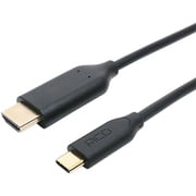 USD-FH20/BK [Type-C変換ケーブル Type-C to HDMI 4K/30Hz対応 2m]