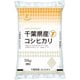 精米 千葉県産コ シヒカリ 10kg 令和6年産