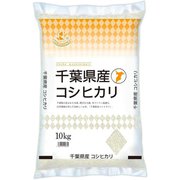 精米 千葉県産コ シヒカリ 10kg 令和6年産