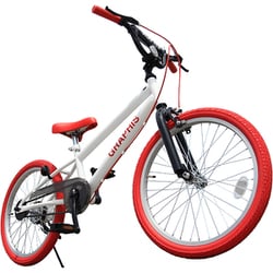 ヨドバシ.com - グラフィス GRAPHIS GR-B20 [子ども用自転車 BMXタイプ