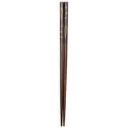ドットフィッシュ ブラウン 23cm