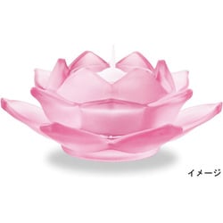 ヨドバシ.com - マルエス 浄蓮花セット 蓮あわせ フロストパープル ...