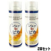 HGS1006-0010 [シュッtoピカ 2本セット]