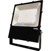 NLFL100A-AC-B06 [日機 屋外設置用LED投光器 100W AC100-240V]