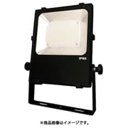 NLFL30-AC-S [日機 LED投光器 28W AC100-240V]