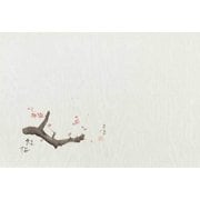 大黒 テーブルマット四季花柄 #752 紅梅 220752