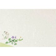 222367 [大黒 テーブルマット T-105 春の花2]