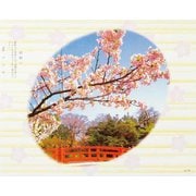 60120 [大黒 折掛紙 No.115 <コート>]
