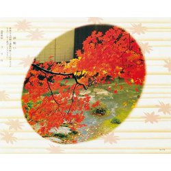 大黒 折掛紙 No.116 <コート> 60130
