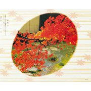 60130 [大黒 折掛紙 No.116 <コート>]