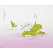 大黒 折掛紙 No.55-小 <コート> 60700