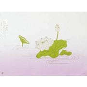 大黒 折掛紙 No.55-大 60800