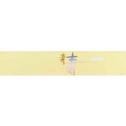 大黒 ディッシュ用掛紙 D-95 120095