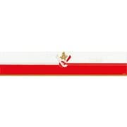 大黒 ディッシュ用掛紙 D-34 120800