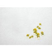 大黒 膳掛紙 No.538 福寿草 181800