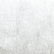 大黒 敷紙 桂シルバー 雲龍 5寸 195205