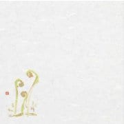 大黒 季寄せ懐紙 No.2 ぜんまい 196026
